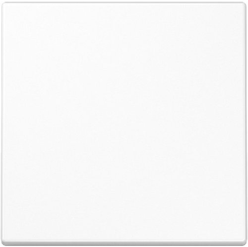 Лицевая панель Jung LS990 для 1-кл. выключателя белый фото Лицевая панель Jung LS990 для 1-кл. выключателя белый картинка